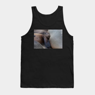 galapagos islands sea lions Tank Top